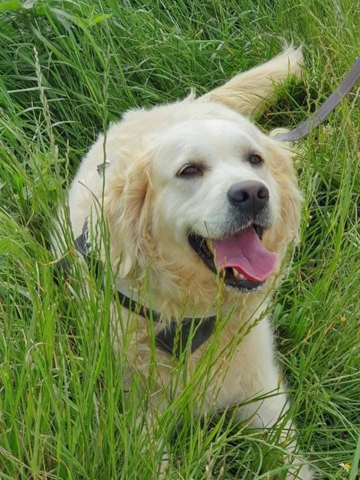 Tahiti  De La Source Du Riet Veld